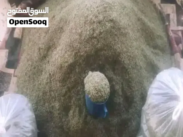 زعتر واكليل الجبل