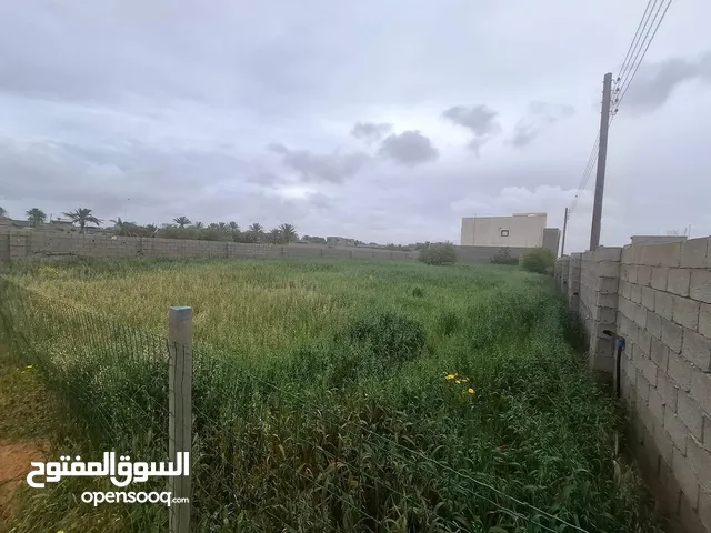 عقار أرض للبيع - مصراتة - تفرع طريق المطار - الغيران - بالقرب من مطار مصراتة - 1000م2 -واجهة 52م