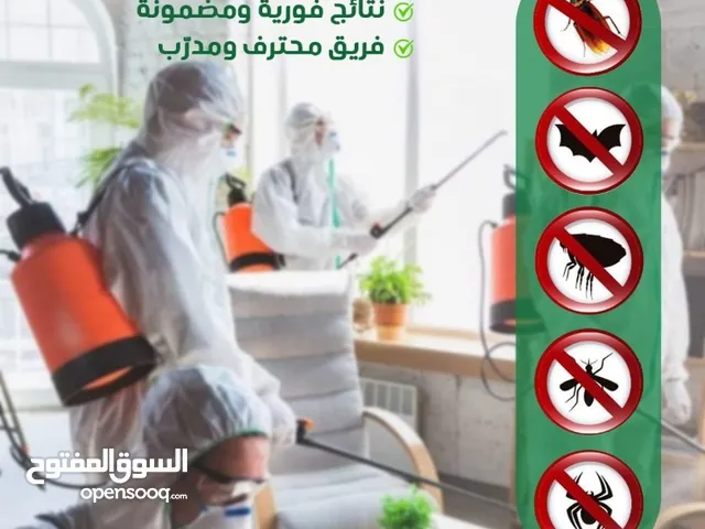 شركة اليقين لمكافحة الحشرات