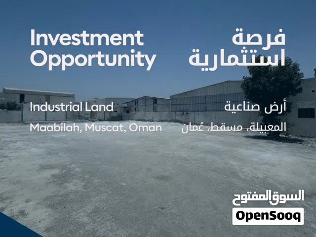 فرصة استثمارية – أرض صناعية للإيجار، المعبيله 7 - Investment Opportunity-Industrial Land Maabilah 7