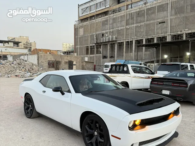 Used Dodge Challenger in Basra