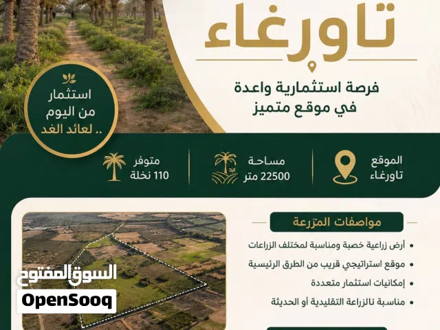 Farm Land for Sale in Tawergha Other