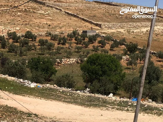 قطعة ارض للبيع -بلعما -عين والمعمرية