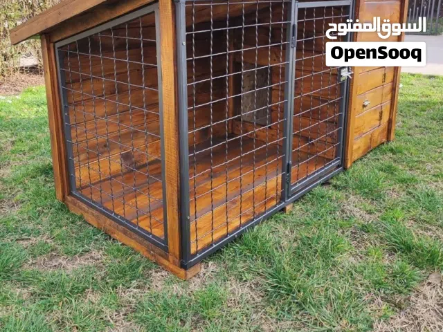 بيت كلاب حاجة منظمة وانيقة