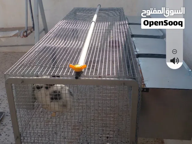 4 قفاص لتربية الارانب