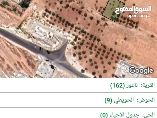 Residential Land for Sale in Amman Naour