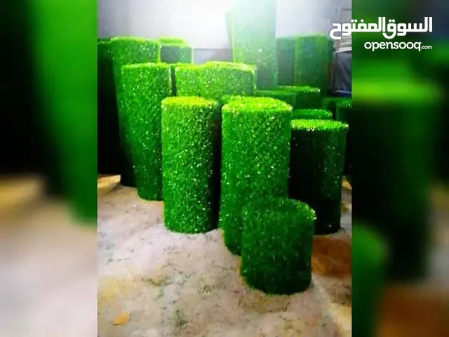 سياج معشب اخضر طرابلس