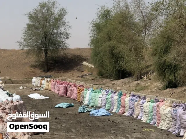 سماد دجاج متوفر بكميات كبيرةةة الجونية ب 400 بيسة