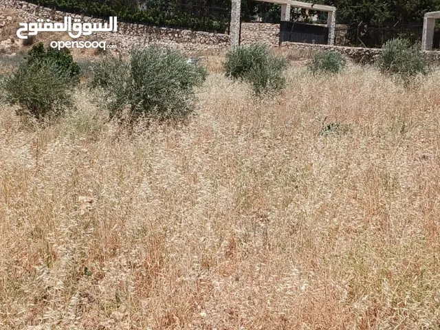 Residential Land for Sale in Amman Naour