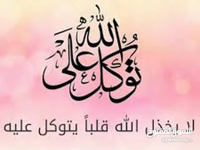 مطلوب شريك مستثمر