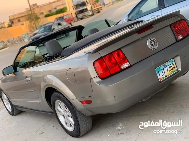 Used Ford Mustang in Tripoli