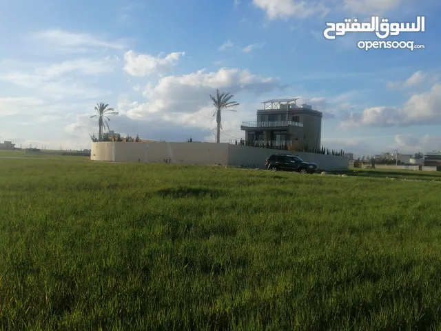 أرض قرب شارع المطار الجيزة حوض الحجرة من المالك