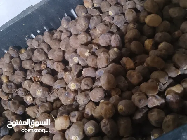 تمر حلاوي.وبرحي