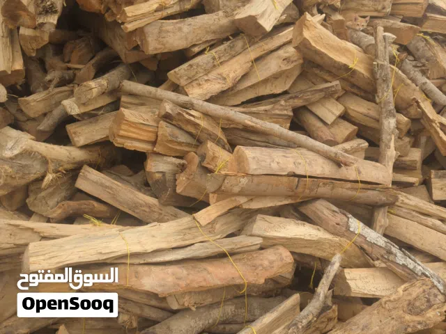 الطب في افريقي مره رقم واحد