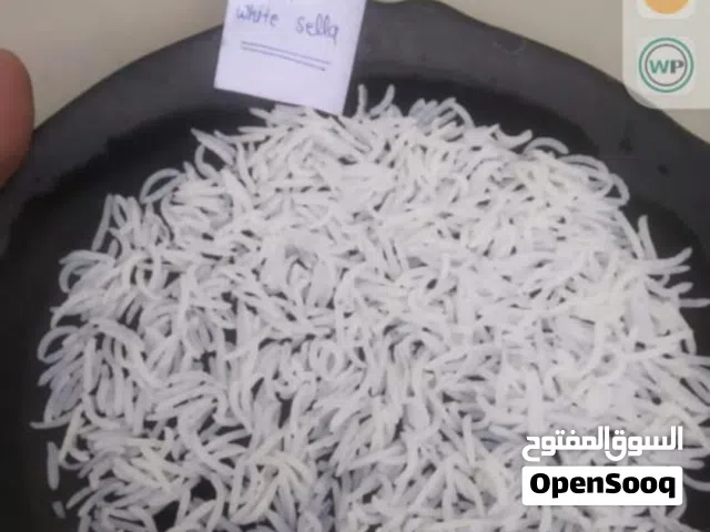رز بسمتي درجه اولى حبه طويل