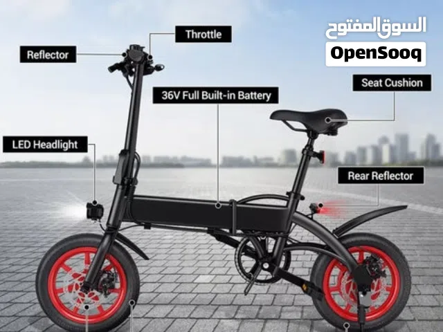 Foldable Electric Bike