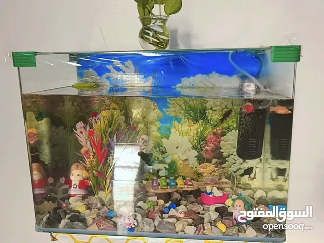حوض سمك زينه