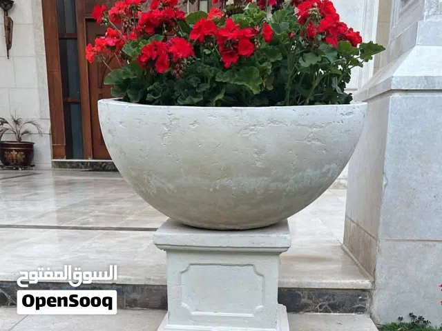 قوار حجري إسمنتي ديكور زريعة أصيص