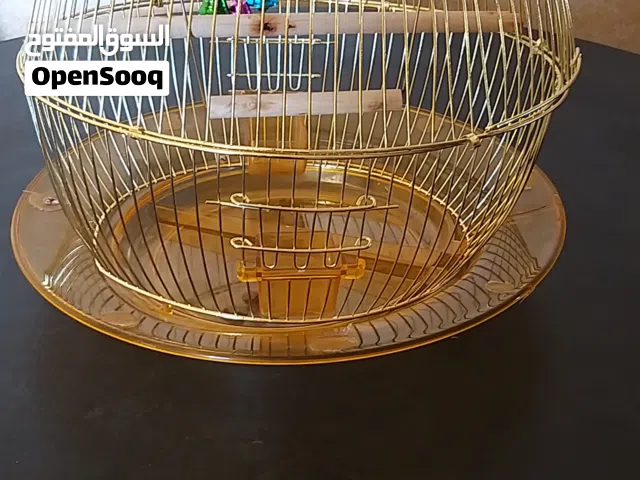 قفص عصافير