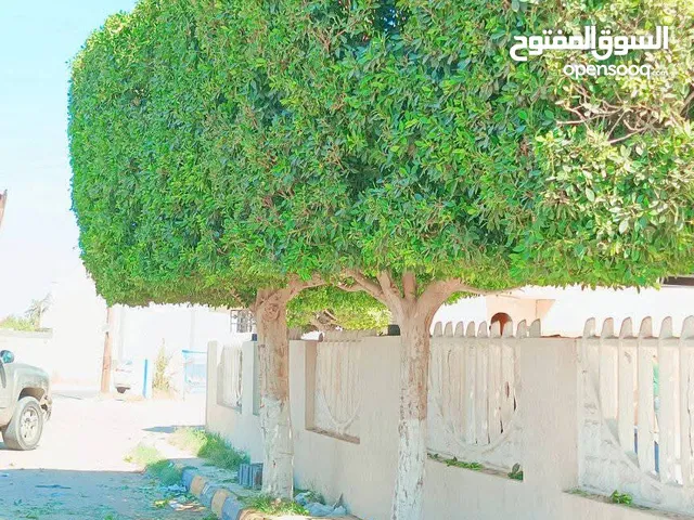 الريان لقص وتقليم وتنظيم الأشجار والحدائق
