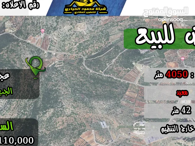 رقم الاعلان (4326) ارض استثمارية للبيع في منطقة عجلون
