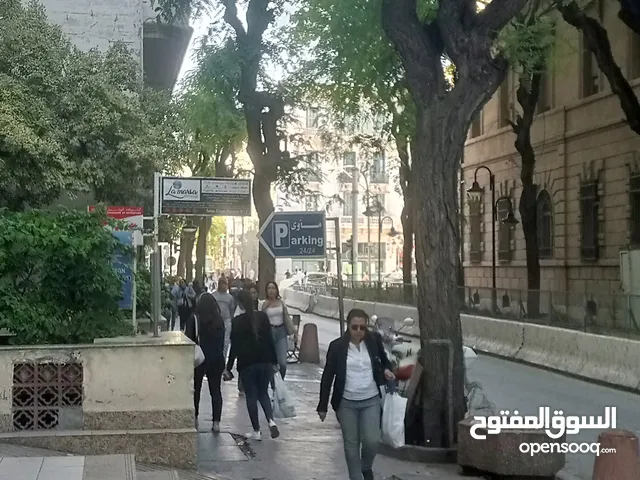 شقة مفروشة جيدا في تونس العاصمة باليوم