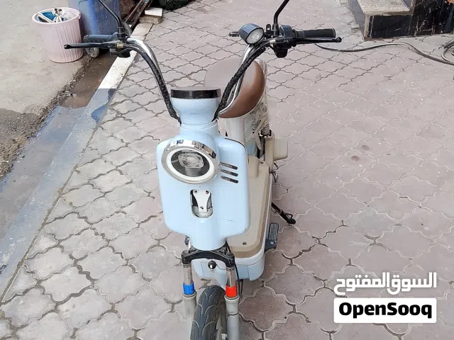 2024 اخرى اخرى