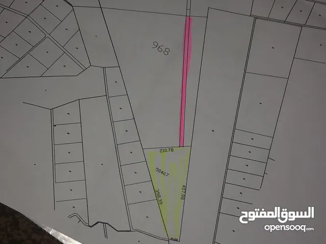 عرض رقم (104) ارض للبيع في جنوب عمان الفرش المسيطبه 60 دونم  للدونم من اصل 545 دونم معلم