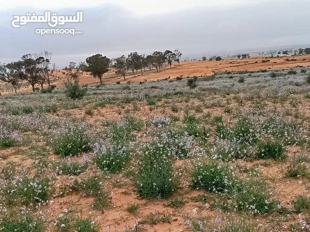 Mixed Use Land for Sale in Tarhuna Other