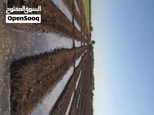 Farm Land for Sale in Khartoum Sharq Al-Nile