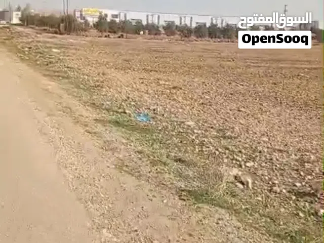 ارض للايجار في منطقه القسطل طريق المطار بسعر مميز جدا