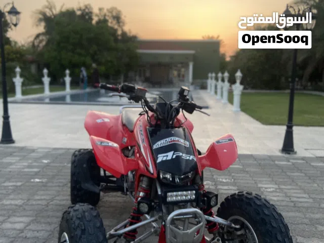 2009 ياماها أخرى