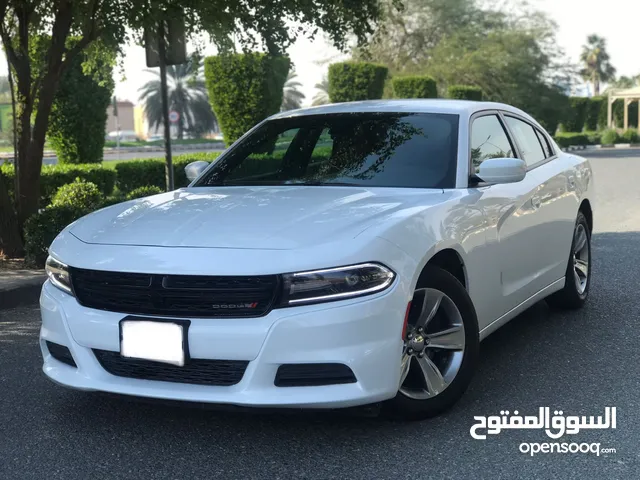 Dodge Charger 2024 in Farwaniya