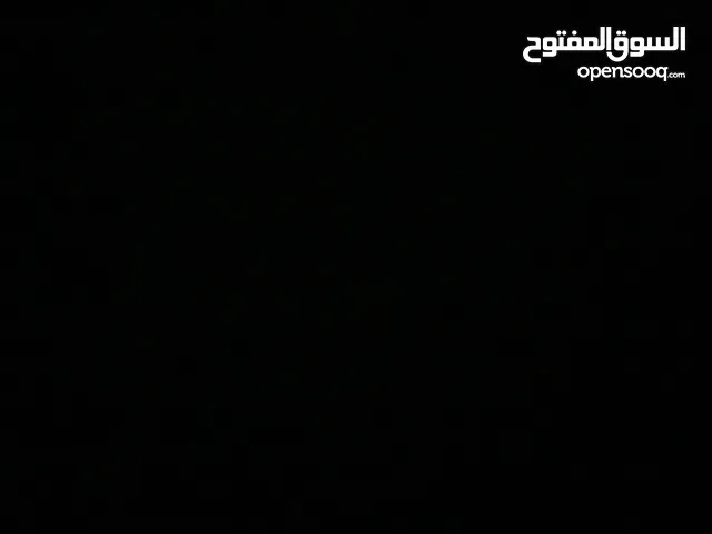 مطلوب قطة سعر من مية لميتين