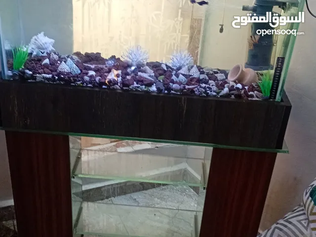 حوض سمك للبيع 70 كامل