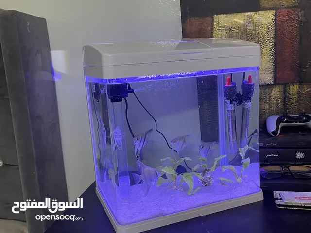 حوض سمك للبيع