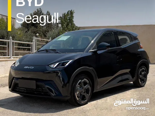 BYD سيجل 2024