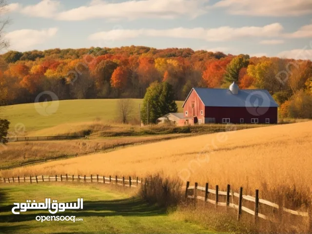 قطعة ارض في لوزا (سعر لقطة لقطة )