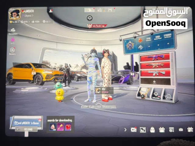 Pubg Accounts and Characters for Sale in Amman