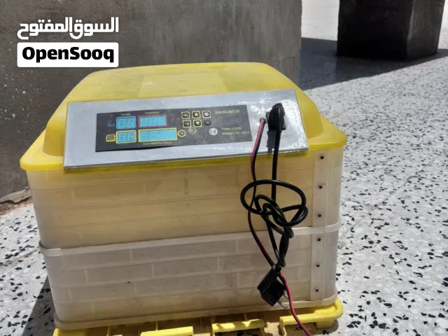 حضانة دجاج