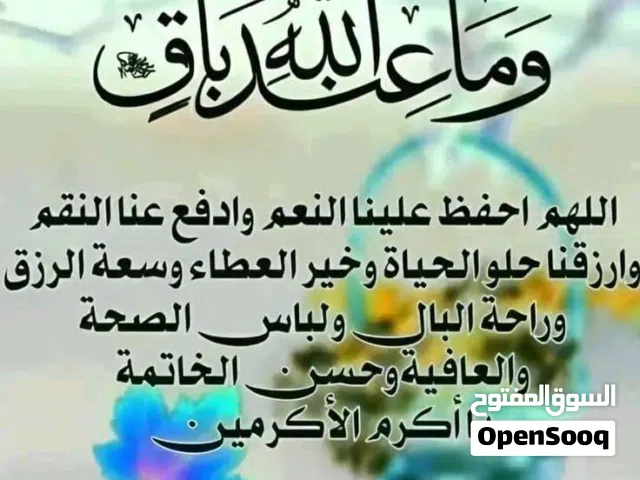 مطلوب ذكرين كوكتيل ابيض للشراء مباشره ويكونان مكفولان