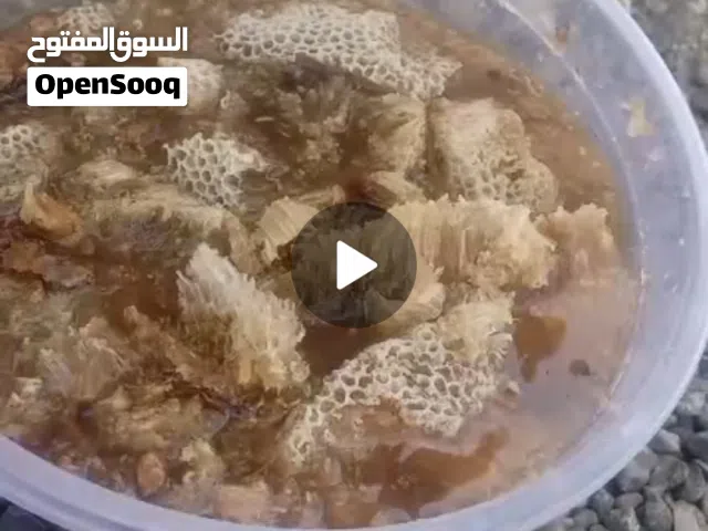 عسل برم قص الموسم عرض مايتفوت