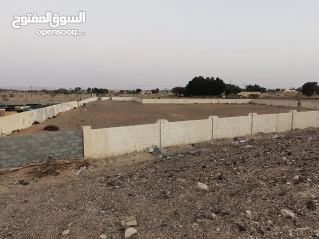 Farm Land for Rent in Al Dhahirah Ibri