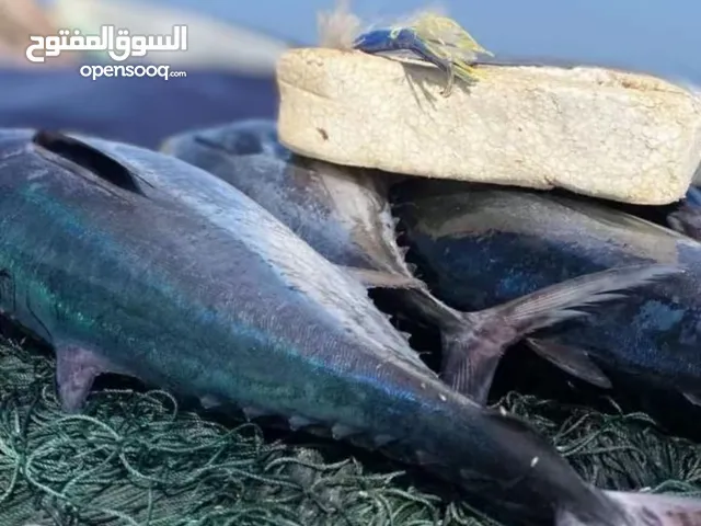 ابحث عن تحكم كنترول للسزوكي مكينتين