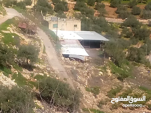 Mixed Use Land for Sale in Ajloun Other