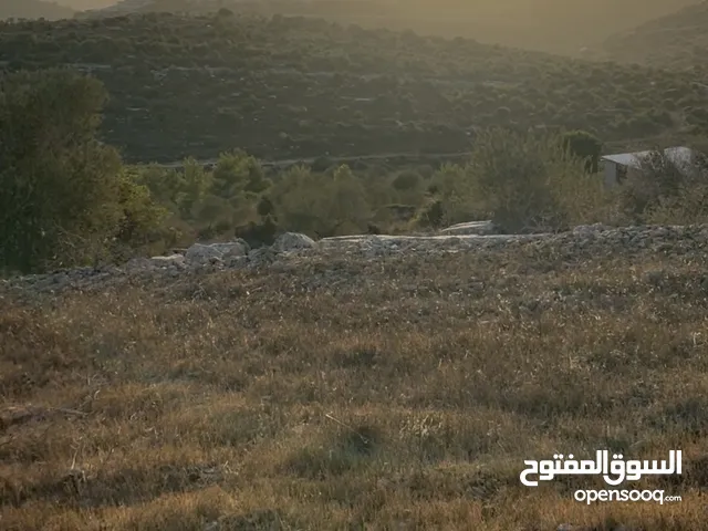 Mixed Use Land for Sale in Ramallah and Al-Bireh Kaubar