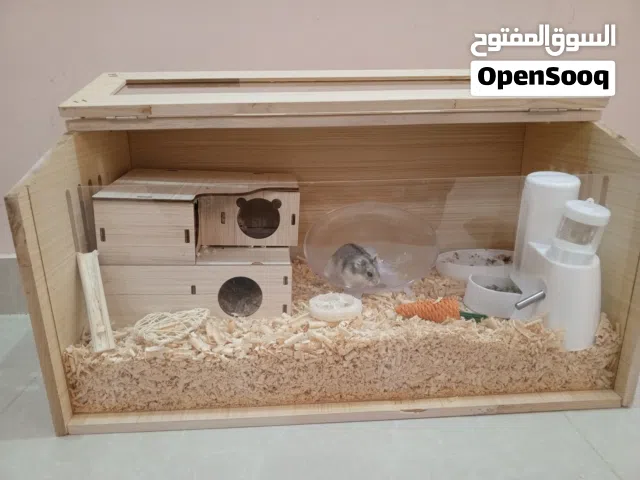 بيت هامستر جميل مع هامستر للبيع