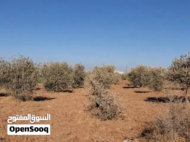 Mixed Use Land for Sale in Madaba Al-Faisaliyyah