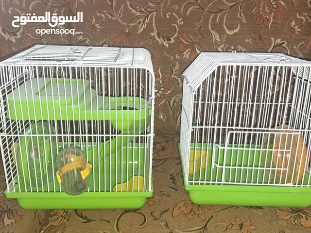 قفص هامستر جديد غير مستعمل