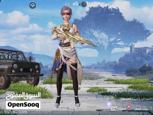 Pubg Accounts and Characters for Sale in Al Hudaydah